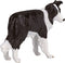 Mojo Farmland Border Collie - 387203