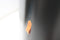 Brabantia Bo Touch Bin Hi Prullenbak - 60 liter - Soft-touch openingssysteem - Matt Black