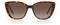 FOSSIL FOS2101/G/S - Zonnebril - Bruin frame - Bruine lenzen