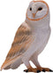 Mojo Wildlife Kerkuil - 381054
