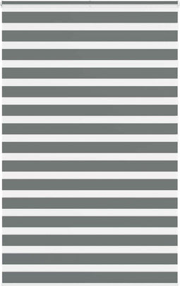 vidaXL - Zebra - rolgordijn - 145x200 - cm - stofbreedte - 140,9 - cm - donkergrijs