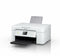 Epson Expression Home XP-4205 - All-in-one printer - Dubbelzijdig printen - Kleur