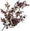Silk-ka Kunstbloem-Kunst Tak Eucalyptus Tak Groen-Bordeaux 104 cm