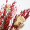 Plant in a Box - Boeket 'Loose Fit Lady Bird' - Droogbloemen - hoogte 50cm