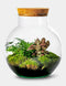 Growing Concepts DIY Duurzaam Ecosysteem Bol - H30xØ18cm