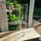 Mica Decorations Cassy Conische Vaas - H70 x Ø19 cm - Glas - Transparant - TRANSPARANT