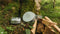 Easy Camp Adventure Cook Set - L