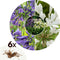 Plant in a Box - Agapanthus - Mix van 6 - Afrikaanse lelie - Wortelstokken - Bloeiende plant