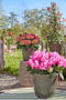 Mica Decorations Rio - Bloempot voor Buiten - H41 x Ø45 cm - Groen