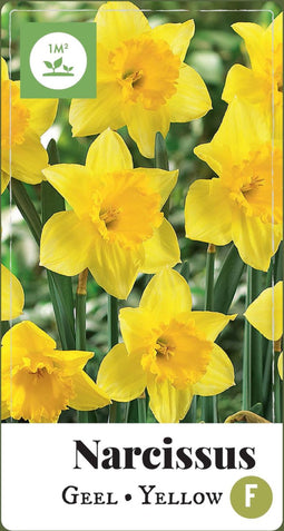 2 stuks - JUB - Narcissus grootkronig geel 35 bollen