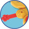 Clementoni - Grappige Beer - Handvaardigheid - Montessori principes - Multicolor
