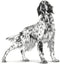 Royal Canin Veterinary Diet Dog Anallergenic - Hondenvoer - 8 kg