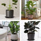 TStarJungle T002-Saucers-Black - Plantenschotels 24 cm - 5-pack (5 stuks)