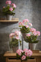 Mica Decorations Geranium Kunstplant in Bloempot Stan - H34 x Ø20 cm - Roze, wit