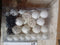 Kerstbal Set met 150 LED 61 pcs Wit Kunststof