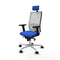 Piqueras y Crespo 2D086N2 - Bureaustoel - Hoofdsteun en verstelbare hoogte - Blauw