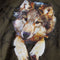 vidaXL-Kindershirt-met-lange-mouwen-wolvenprint-140-kakikleurig