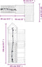 vidaXL - Speelhuis - met - klimwand - massief - grenenhout