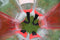 Gioco Bubbelvoetbal - kinderen - 120 centimeter - Pvc - Rood