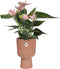 Elho Vibes Fold Coupe 14 - Bloempot voor Binnen - 100% Gerecycled Plastic - Ø 13.9 x H 21.0 cm - Delicaat roze