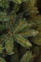 Triumph Tree Forest Frosted Kunstkerstboom Smal - H185 x Ø102 cm - Groen