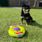 Kong - Airdog Squeaker Saucer - Honden - Speelgoed -16,5 x 6,5 cm