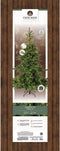 Everlands Grandis fir - H 270 cm D 172 - LED verlichting warm wit