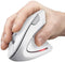 Trust Verto - Draadloze Ergonomische Muis - 1600dpi - Rechtshandig