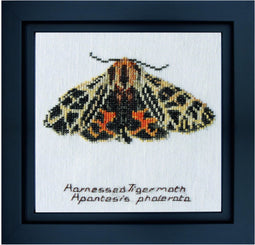 Thea Gouverneur - Borduurpakket met telpatroon - 569 - Voorgesorteerde DMC Garens - Beervlinder - Linnen - 21 cm x 21 cm - DIY Kit