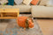 Feel Furniture - Kinder dierenstoel - Leeuw