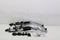 Thule ClipOn 9103 - Fietsendrager Achterklep - 3 fietsen - Aluminum