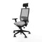 Bureaustoel met hoofdsteun Piqueras y Crespo 3D066G1 Lichtgrijs