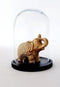 Mica Decorations Hella - Glazen Stolp - Handgemaakt - H23 x Ø17 cm - Zwart