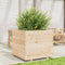 vidaXL - Plantenbak - 80x80x72 - cm - massief - grenenhout