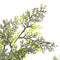 vidaXL - Kunstplant - met - pot - cipresboom - 150 - cm - groen