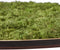 Freyr Groen - Mosschilderij - 30cm bestellen? Gratis & snel verzonden
