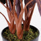 Mica Decorations Calathea Roseopicta Kunstplant - H60 x Ø40 cm - Bordeaux
