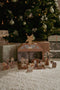 Little Dutch - Kerststal speelkoffer - Houten figuren - Multi