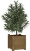 vidaXL - Plantenbakken - 2 - st - 31x31x31 - cm - massief - grenenhout - honingbruin