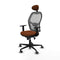 Piqueras y Crespo 1D036G1 - Bureaustoel - Hoogteverstelbaar met armleuning - Bruin Grijs
