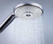 GROHE Rainshower - Wandhouder - Verstelbaar - Chroom