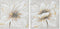 Schilderij Home ESPRIT Wit Beige Canvas Hout MDF Bloem Romantiek 50 x 2,5 x 50 cm (2 Stuks)