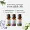 ErthSkin London Aroma Bliss Collection-oliën, pakket van 3