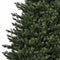 Black Box kunstkerstboom dunville pine maat in cm: 155 x 109 groen