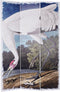 Kamerscherm DKD Home Decor Canvas Pijnboom (120 x 2,5 x 180 cm)