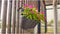 Bloempot Artevasi 639343 Antraciet Donker grijs Plastic Cirkelvormig 30,5 x 54 x 28 cm