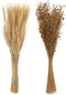 J-Line droogbloemen - Bundel gedroogde Vlas + Tarwe grass - naturel - 2 stuks