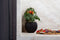 Capi Europe - Vaas bol Groove Black & Gold - 30x25 - Zwart - Opening Ø21.5 - Bloempot voor binnen - 5 jaar garantie - BGVBL104