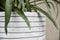 Capi Europe - Bloempot bol Row NL - 43x41 - Zwart - Opening Ø35 - Bloempot voor binnen en buiten - Levenslang garantie - Breukbestendig - 100% Recyclebaar - CO2 Neutraal geproduceerd - KBLRO933