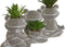 Decoratieve plant Home ESPRIT Polyethyleen Cement Kikker 7,5 x 5 x 11 cm (3 Stuks)